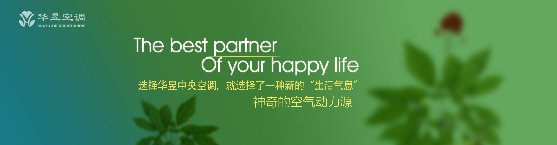 凤凰来仪网